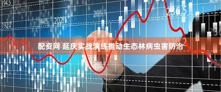 配资网 延庆实战演练推动生态林病虫害防治