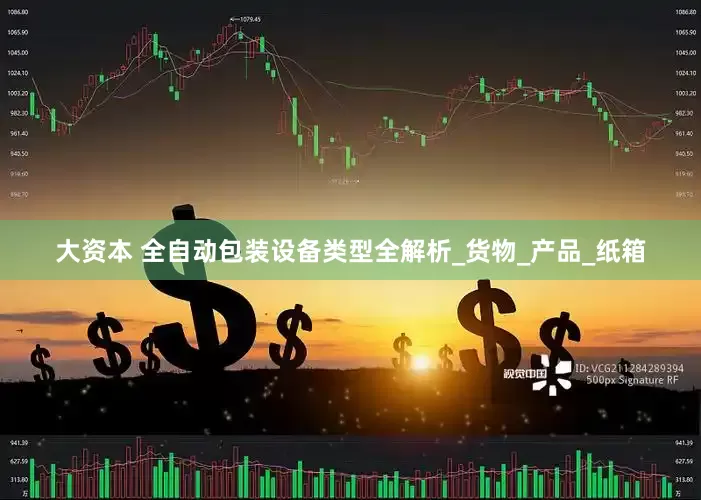 大资本 全自动包装设备类型全解析_货物_产品_纸箱