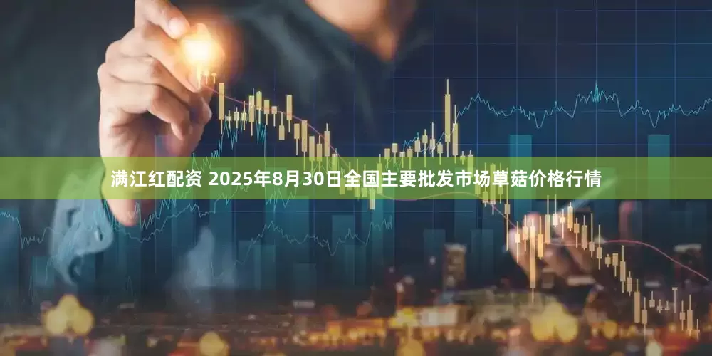 满江红配资 2025年8月30日全国主要批发市场草菇价格行情