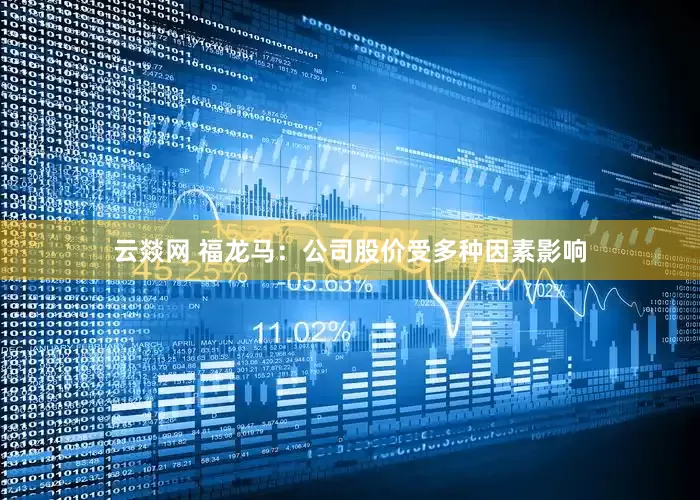 云燚网 福龙马：公司股价受多种因素影响