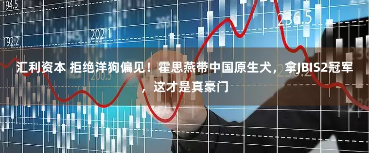 汇利资本 拒绝洋狗偏见！霍思燕带中国原生犬，拿JBIS2冠军，这才是真豪门