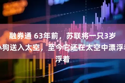 融券通 63年前，苏联将一只3岁小狗送入太空，至今它还在太空中漂浮着
