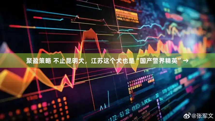 聚盈策略 不止昆明犬，江苏这个犬也是“国产警界精英”→
