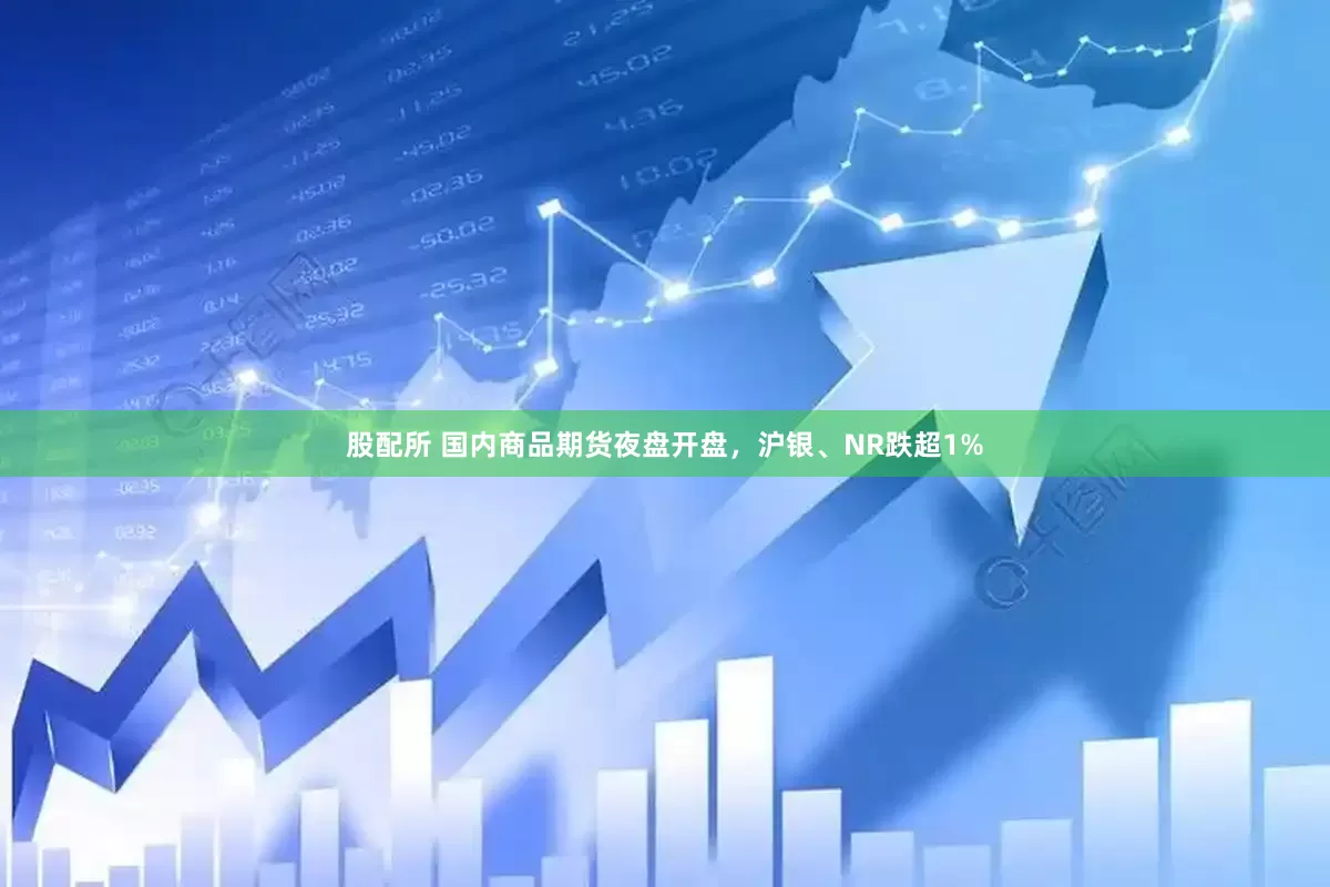 股配所 国内商品期货夜盘开盘，沪银、NR跌超1%