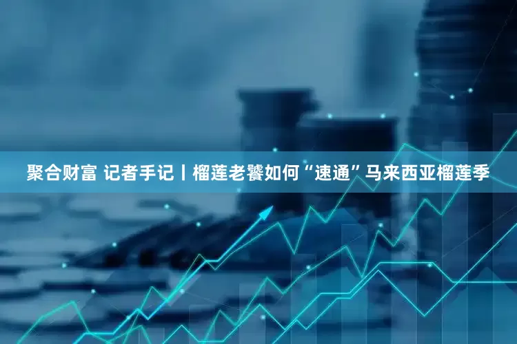 聚合财富 记者手记丨榴莲老饕如何“速通”马来西亚榴莲季